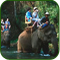 adventure Tours