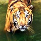Exotic Kerala Tours
